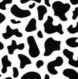 Meet your Posher, Ava